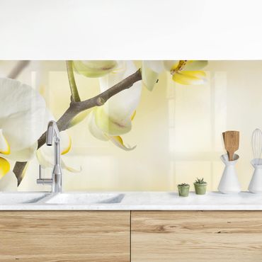 Küchenrückwand - Orchideen Zweig