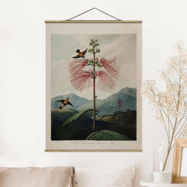 Stoffbild mit Posterleisten - Botanik Vintage Illustration Blüte und Kolibri - Hochformat 3:4