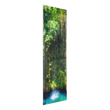 Wandbild Kunst-Druck auf Hart-Glas hochkant 60x120 Wasserfall im Wald 