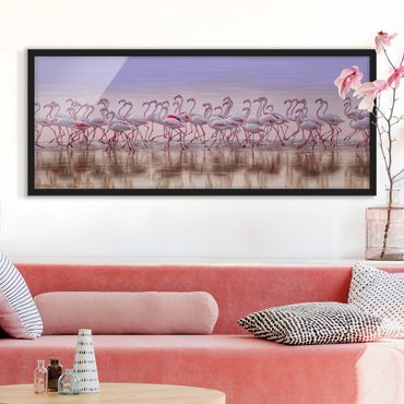 Bild mit Rahmen - Flamingo Party - Panorama Querformat