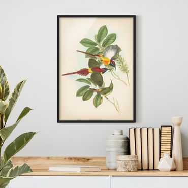 Bild mit Rahmen - Vintage Illustration Tropische Vögel III - Hochformat 4:3
