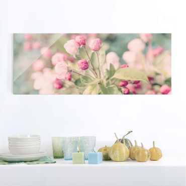 Glasbild - Apfelblüte Bokeh rosa - Panorama