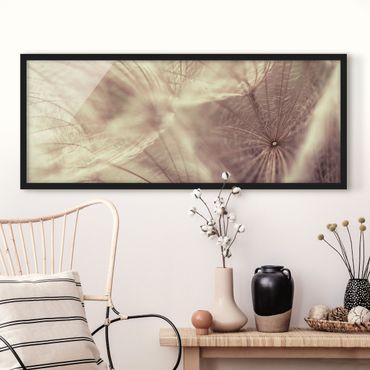 Bild mit Rahmen - Detailreiche Pusteblumen Makroaufnahme mit Vintage Blur Effekt - Panorama Querformat