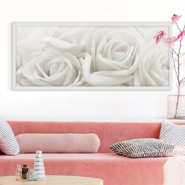 Bild mit Rahmen - Weiße Rosen - Panorama Querformat