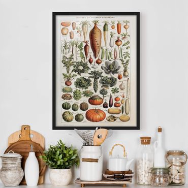 Bild mit Rahmen - Vintage Lehrtafel Gemüse - Hochformat 4:3