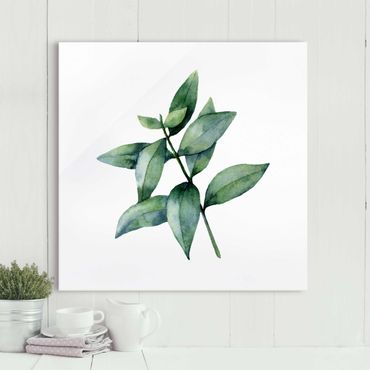 Glasbild - Aquarell Eucalyptus III - Quadrat