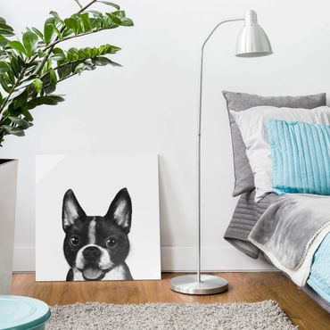 Glasbild - Illustration Hund Boston Schwarz Weiß Malerei - Quadrat 1:1