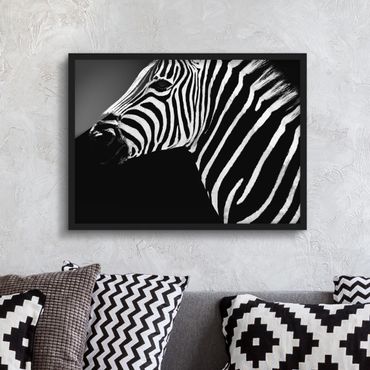 Bild mit Rahmen - Zebra Safari Art - Querformat 3:4