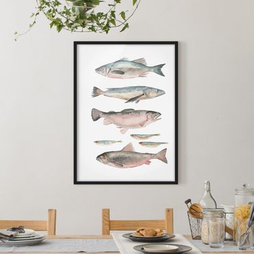 Bild mit Rahmen - Sieben Fische in Aquarell I - Hochformat 4:3