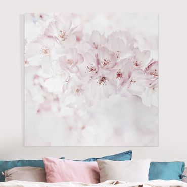Leinwandbild - Ein Kirschblütenhauch - Quadrat 1:1