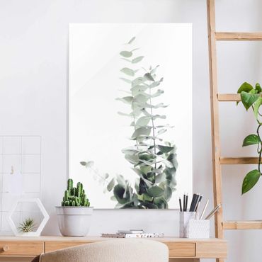 Glasbild - Eukalyptus im Weißen Licht - Hochformat