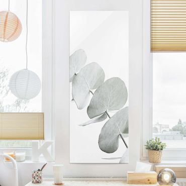 Glasbild - Eukalyptuszweig im Weißen Licht - Hochformat