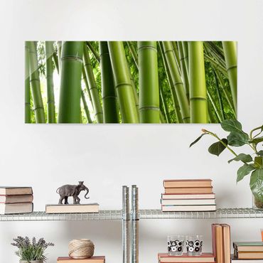 Glasbild - Bamboo Trees No.1 - Panorama Quer