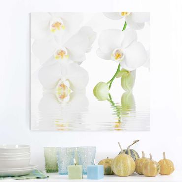 Glasbild orchidee weiß - Die besten Glasbild orchidee weiß analysiert!