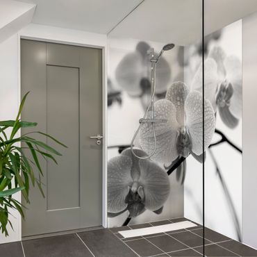 Duschrückwand - Nahaufnahme Orchidee Schwarz-Weiß
