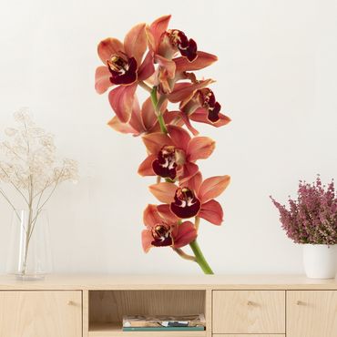 Wandtattoo No.180 Orchidee Rot II