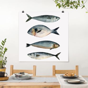 Poster - Vier Fische in Aquarell II - Quadrat 1:1