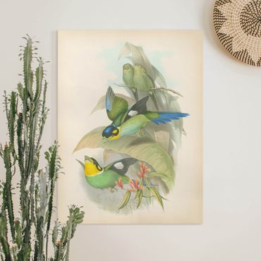 Leinwandbild - Vintage Illustration Tropische Vögel - Hochformat 4:3