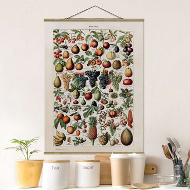 Stoffbild mit Posterleisten - Vintage Lehrtafel Früchte - Hochformat 3:4