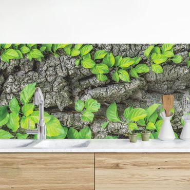 Küchenrückwand - Efeuranken Baumrinde