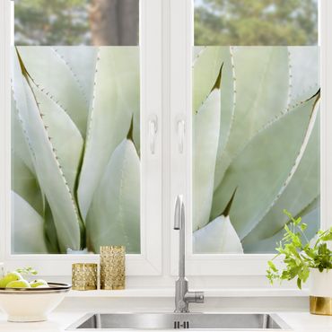 Fensterfolie - Sichtschutz - Aloe - Fensterbilder