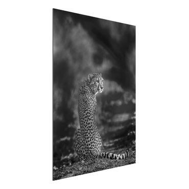 Aluminium Print - Gepard in der Wildness - Hochformat 4:3