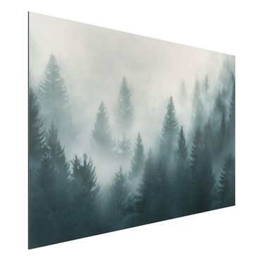 Alu-Dibond Bild - Nadelwald im Nebel