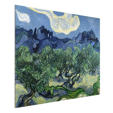 Alu-Dibond Bild - Vincent van Gogh - Olivenbäume