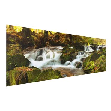 Alu-Dibond Bild - Wasserfall herbstlicher Wald