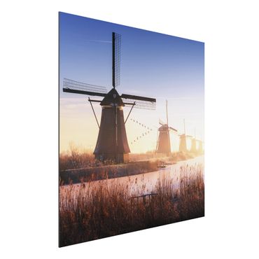 Alu-Dibond Bild - Windmühlen von Kinderdijk