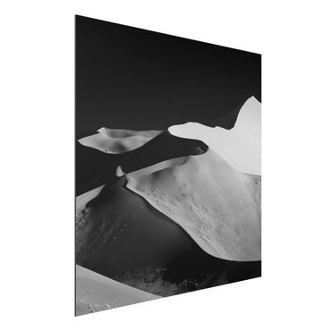 Aluminium Print - Wüste - Abstrakte Dünen - Quadrat 1:1