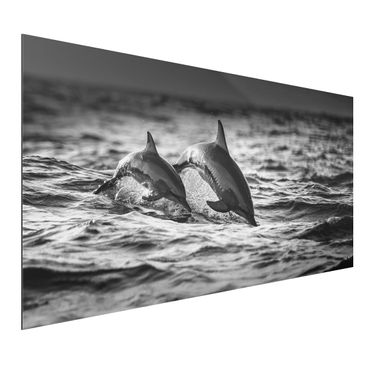Aluminium Print - Zwei springende Delfine - Querformat 1:2