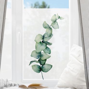 Fensterfolie - Sichtschutz - Aquarell Eukalyptus - Fensterbilder