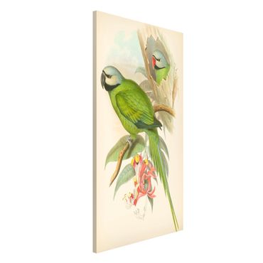 Magnettafel - Vintage Illustration Tropische Vögel II - Memoboard Hochformat 4:3