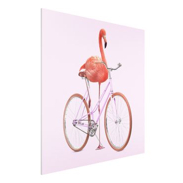 Forex Fine Art Print - Jonas Loose - Flamingo mit Fahrrad - Quadrat 1:1