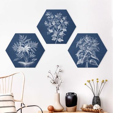 Hexagon Bild Alu-Dibond 3-teilig - Denim Pflanzenstudie Set I