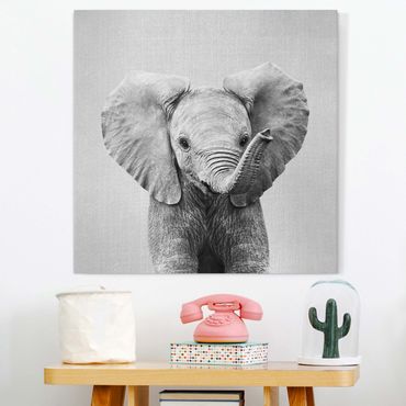 Leinwandbild - Baby Elefant Elsa Schwarz Weiß - Quadrat 1:1