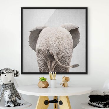 Bild mit Rahmen - Baby Elefant von hinten - Quadrat - 1:1