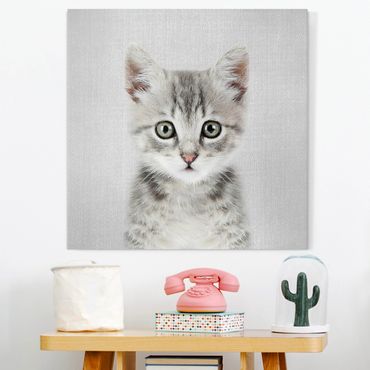 Leinwandbild - Baby Katze Killi - Quadrat 1:1