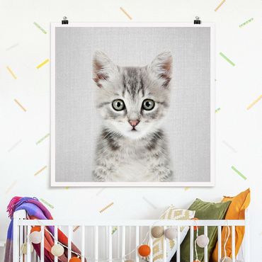 Poster - Baby Katze Killi - Quadrat 1:1