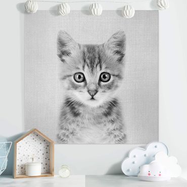 Leinwandbild - Baby Katze Killi Schwarz Weiß - Quadrat 1:1
