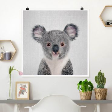 Poster - Baby Koala Klara - Quadrat 1:1