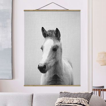 Stoffbild mit Posterleisten - Baby Pferd Philipp Schwarz Weiß - Hochformat 3:4