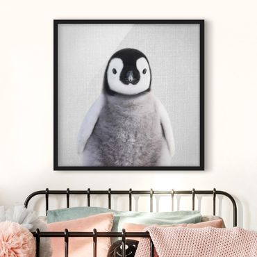 Bild mit Rahmen - Baby Pinguin Pepe - Quadrat - 1:1
