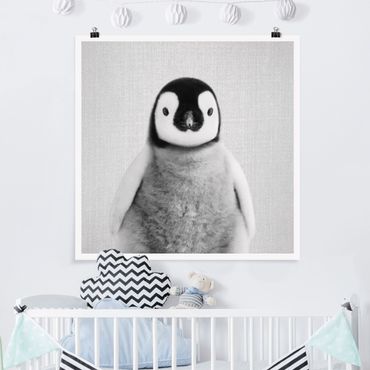 Poster - Baby Pinguin Pepe Schwarz Weiß - Quadrat 1:1