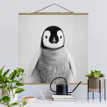 Stoffbild mit Posterleisten - Baby Pinguin Pepe Schwarz Weiß - Quadrat 1:1