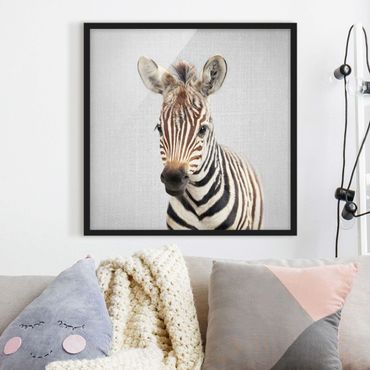 Bild mit Rahmen - Baby Zebra Zoey - Quadrat - 1:1