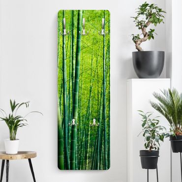 Garderobe - Bambuswald - Grün