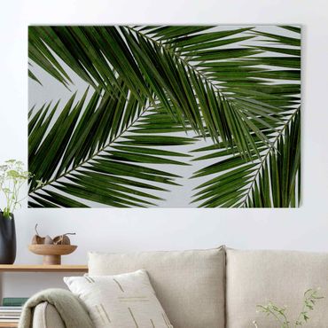 Akustikbild - Blick durch grüne Palmenblätter