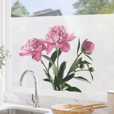 Fensterfolie - Sichtschutz - Blüten und Knospen Pink auf Weiß - Fensterbilder